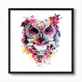 Owl Square Art Print