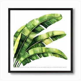 Tropical Harmony Affiche