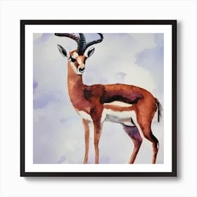 Antelope Art Print