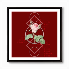 Vintage Pink Cabbage Rose Botanical with Geometric Line Motif and Dot Pattern Art Print