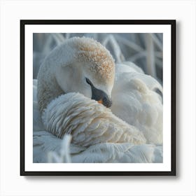 Swan In Frost Art Print