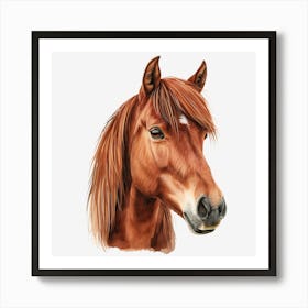 Horse Head Watercolor Illustration Art Print