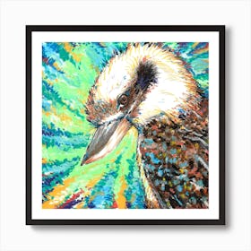 Kookaburra Stare Art Print