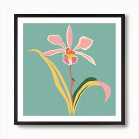 Monkey Orchid 3 Square Flower Illustration Art Print