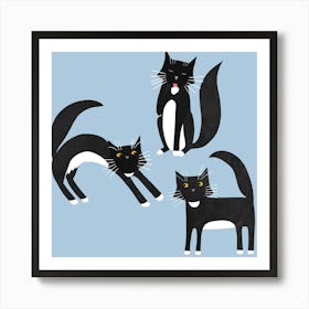 Black And White Tuxedo Cats on Blue Art Print