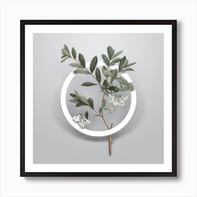 Vintage White Honeysuckle Plant Minimalist Botanical Geometric Circle on Soft Gray n.0548 Art Print