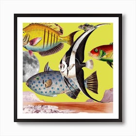 Fish World Yellow Square Art Print