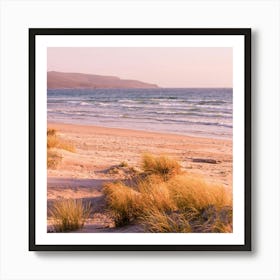 Sand Dunes On The Beach Art Print