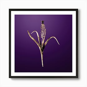Gold Botanical Grape Hyacinth on Royal Purple n.0536 Art Print