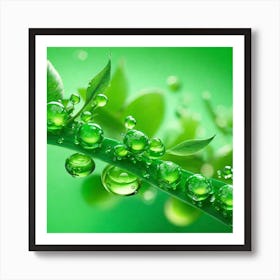 Water Droplets On A Leaf 1 Art Print