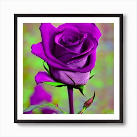 Purple Rose Art Print