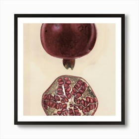 Fruit 7 Art Print