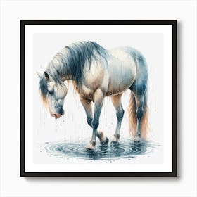 Horse In Water 1 Art Print