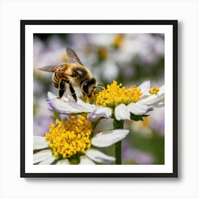 Bee On Daisy Art Print