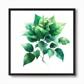 Green Leaves On A Branch Art Print