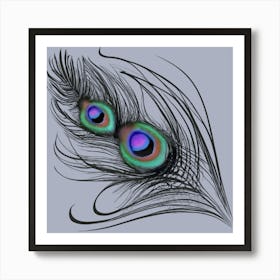 Peacock Feathers Wall Art Art Print