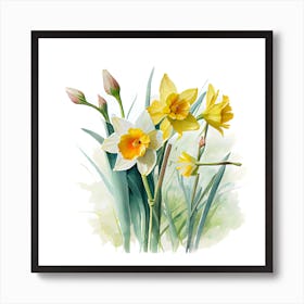 Watercolour of Daffodils Art Print