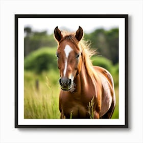 Grass Horse Mammal Animal Head Steady Offspring Beauty Riding Horse Mare Dam Cute Streng (6) Art Print