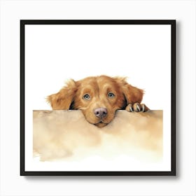 Golden Retriever 14 Art Print