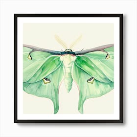 Green Moth Art Print