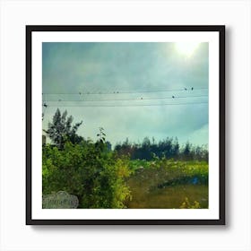 Birds On Power Lines Art Print