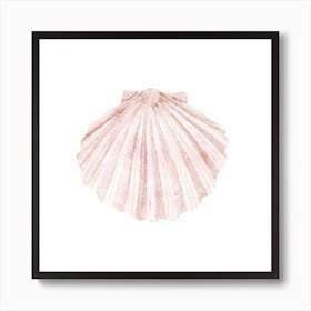 Seashell2 Art Print