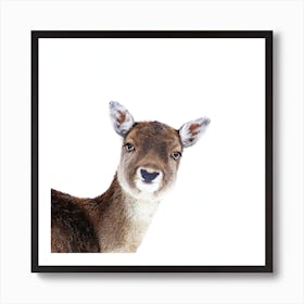 Deer Peekaboo White Square Art Print