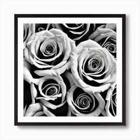 Black And White Roses 25 Art Print