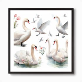 Swans 5 Art Print