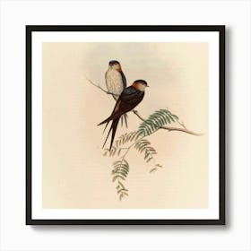 Two Swallows Perched On A Branch 1 Art Print