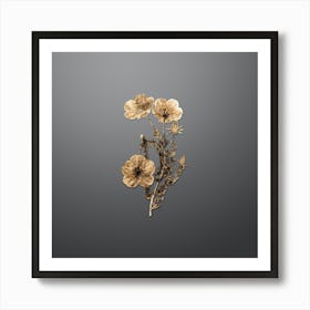 Gold Botanical Long Stalked Ledocarpum on Soft Gray n.4843 Art Print