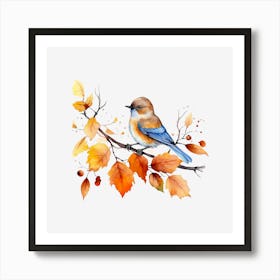 Bluebird On A Branch Art Print