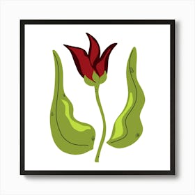 Red Tulip Art Print