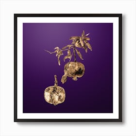 Gold Botanical Pomegranate on Royal Purple Art Print