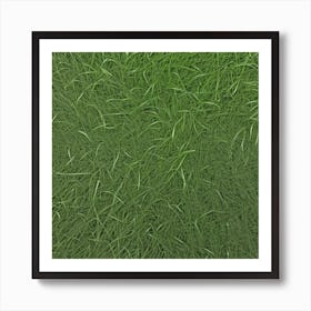 Grass Background Photo 2 Art Print