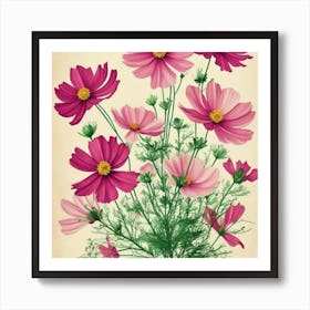 Cosmos 3 Floral Botanical Vintage Poster Flower Art Print Pink Cosmos Art Print