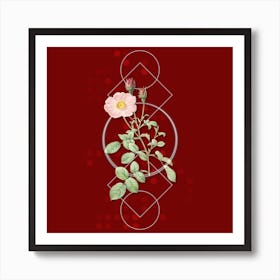 Vintage Sparkling Rose Botanical with Geometric Line Motif and Dot Pattern n.0277 Art Print