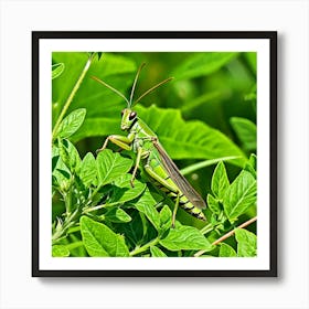 Grasshoppers Insects Jumping Green Legs Antennae Hopper Chirping Herbivores Garden Fields (6) 1 Art Print