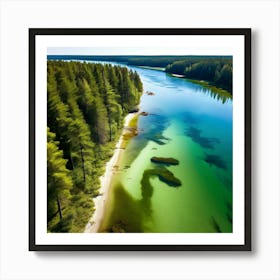 Forest Water Nature Tree Copy Space Creek Summer Sand Aerial Moss Clear Sky Vacation Sun (4) Art Print