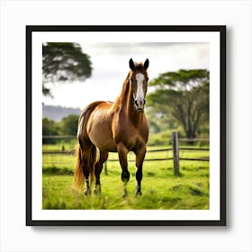 Grass Graze Equestrian Pasture Horse Rural Farm Mare Nature Field Mammal Ranch Pet Graz (1) Art Print