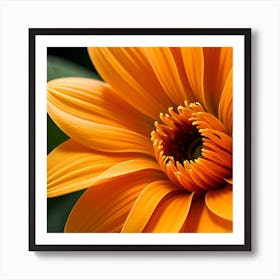 Orange Dahlia Art Print