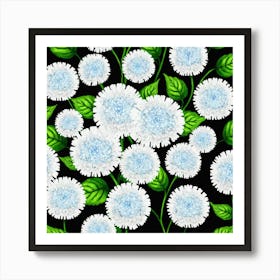 White Chrysanthemums On Black Background 1 Art Print