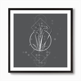 Vintage Gladiolus Saccatus Botanical with Line Motif and Dot Pattern in Ghost Gray n.0370 Art Print