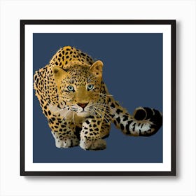 Leopard Stalking Square Art Print