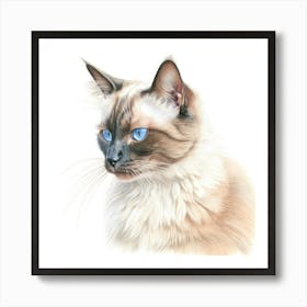 Colourpoint Cat Portrait 2 Art Print