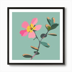 Portulaca 1 Square Flower Illustration Art Print