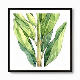 Lily Of The Valley 6 Art Print