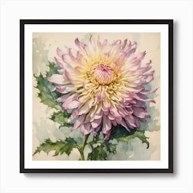 Chrysanthemum Art Print