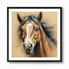 Horse Portrait 8 Art Print