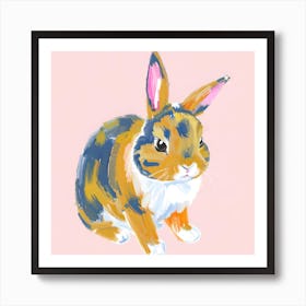 Netherland Dwarf Rabbit 01 Art Print